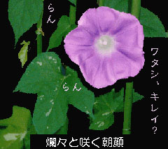 ࣁXATKI