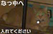 肢CN