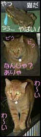 ттJGƁHCN