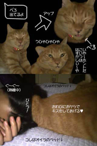 ƏoCN