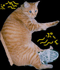 fuɌł傤
